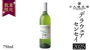 デラウェアセンセイ Delaware Sensei 2025 750ml×1本 茨城県産 牛久醸造場 日本ワイン ワイン 白ワイン 750ml ミディアムボディ お酒 贈り物 葡萄 ぶどう [BJ060us]