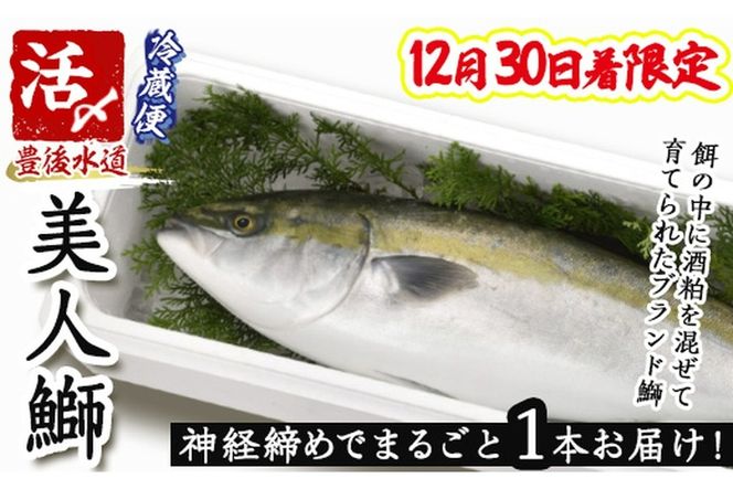 ＜12/30着限定＞神経締めでまるごと1本お届け！美人鰤 (1本・約5kg) 美人ブリ 美人鰤 ぶり ブリ 鰤 神経締め ブランド魚 獲れたて 鮮魚 まるごと 冷蔵 海の直売所 大分県 佐伯市 ＜離島配送不可＞【AS130】【海べ】