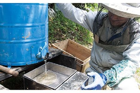 糸島 はちみつ 320g【ヴァンベールフーズ】百花 / 蜂蜜 [AFJ001] 蜂蜜 はちみつ ハチミツ 国産 非加熱 無添加 紅茶 日本蜜蜂