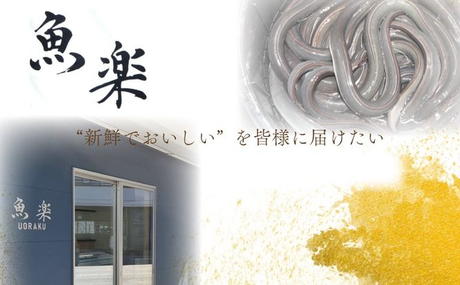 【おいしい訳あり！】うなぎのかば焼き うなぎの蒲焼（半カット）2尾　380g以上　JK001_01