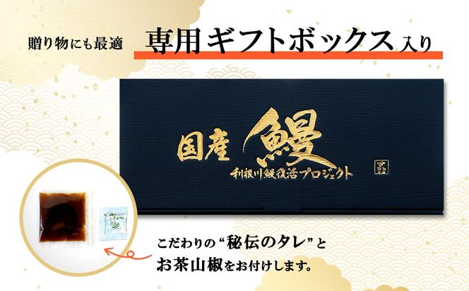  【土用の丑の日までにお届け】 上うなぎ 蒲焼 3尾 525g以上 国産 鰻 人気 うなぎ蒲焼き うな重 魚 魚介 ギフト K2348