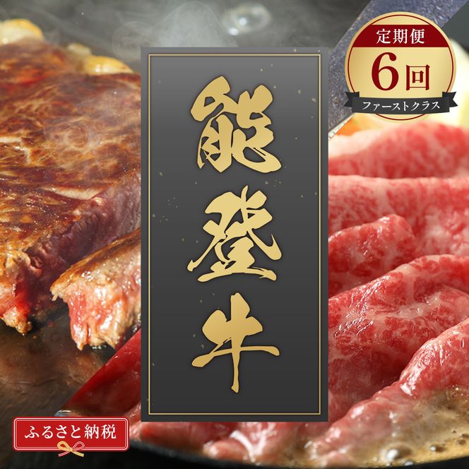 肉【定期便全6回】【和牛セレブ】能登牛 定期便「ファーストクラス」特選 しゃぶしゃぶ すき焼き 焼肉 ステーキ ギフト 石川県 能美市 172111_DB046