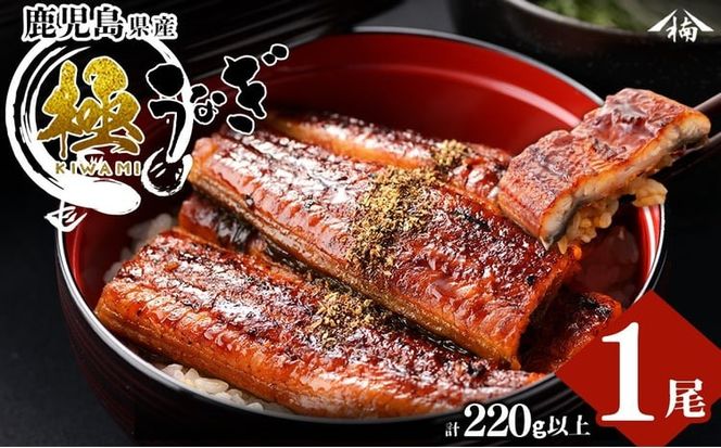 楠田の極うなぎ 蒲焼き 1尾(220g以上) a3-249
