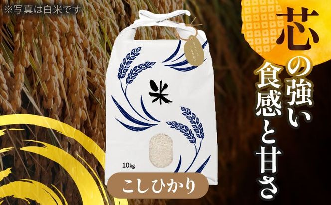 令和6年産　新米　愛知県産コシヒカリ　玄米10kg　特別栽培米　お米　ご飯／戸典オペレーター[AECT023]