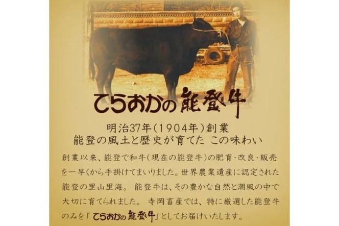 牛肉 能登牛 特選 (4～5等級) すき焼き用 600g [寺岡畜産株式会社 石川県 宝達志水町 38601309] 肉 お肉 すき焼き すきやき 能登牛 すき焼肉 すき焼き用 肩肉 もも肉 牛 国産 冷凍 和牛
