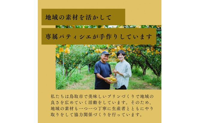 プリン専門店Totto PURIN プリン食べ比べ12個セット 312011_DD015