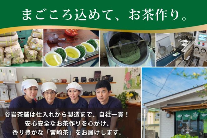 お茶 プレミアム ティーバッグ 露ぶせ 3g 12個 [谷岩茶舗 宮崎県 日向市 452061617] ティーパック 茶 緑茶 日本茶
