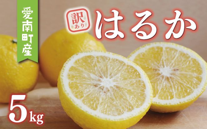 数量限定 先行予約 訳あり はるか 5kg 9000円 みかん mikan 蜜柑 ミカン 国産 産地直送 農家直送 期間限定 特産品 ゼリー ジュース アイス 等に わけあり 人気 限定 フルーツ 果物 柑橘 甘い おいしい ジューシー お取り寄せ ギフト プレゼント サイズ ミックス あいなんマザーズ 愛南町 愛媛県