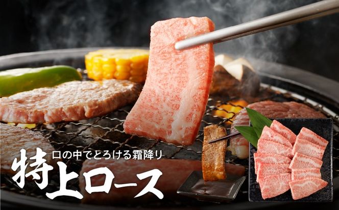 【鹿児島黒毛和牛A4～A5】焼肉特上セット(特上カルビ/特上ロース)　K189-007