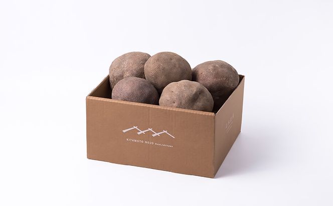 令和7年度産 加賀丸いも 2.5kg