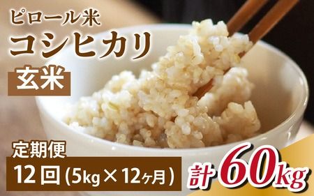 【12ヶ月定期便】富山県滑川産 弱アルカリ性米「ピロール農法米 コシヒカリ」与文のお米 （玄米5kg）×12回 計60kg [N-050001] / 産地直送 こしひかり おにぎり お米 白米 国産 ご飯 ごはん 滑川市 ピロール アグリめぐみ 頒布会 定期便 [N-050001]