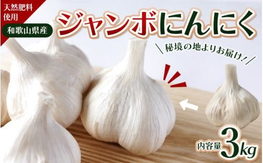 令和８年度産 秘境の地からお届けする あゆみファームのご家庭用ジャンボにんにく 3kg【7月下旬から順次発送】/ にんにく ニンニク ジャンボにんにく 予約受付 ガーリック 和歌山【aym015A】