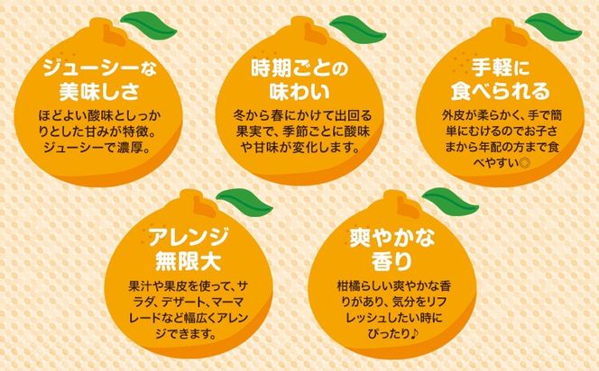 青木さんちの不知火(しらぬい)『味自慢』　1箱(18玉～24玉入り)　《2026年3月末頃出荷》　[柑橘 春 人気 フルーツ 佐那河内 さなごうち ジューシー デコポン 贈答 進物 ギフト]【配送不可地域あり】※離島不可---sanagouchi_amh_1_1hk---