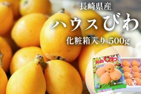AH093 【期間限定発送】長崎県産 ハウスびわ 約500g 化粧箱入り [ フルーツ 果物 くだもの びわ ビワ 枇杷 数量限定 季節限定 初夏 冷蔵 長崎県 島原市 ]