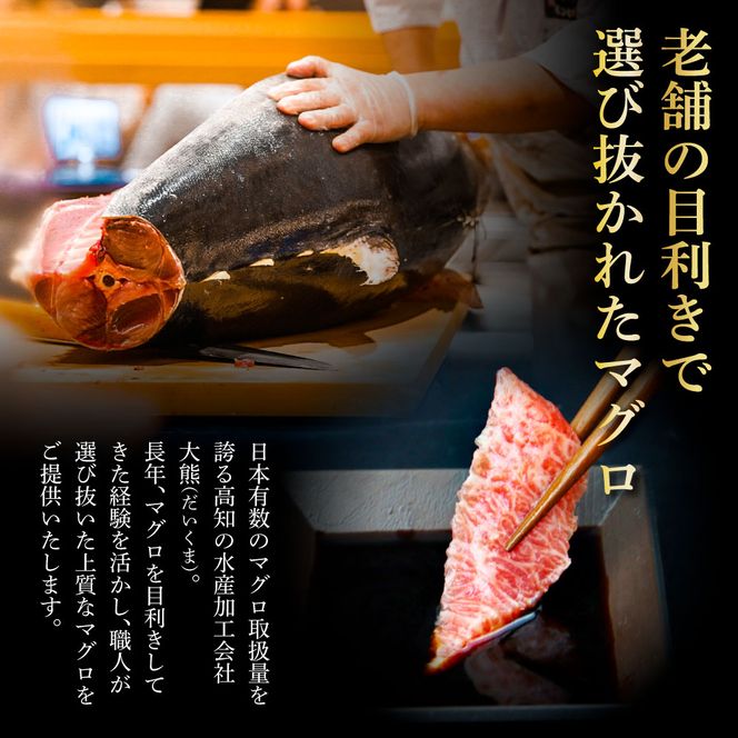 本マグロ 本鮪 大トロ・中トロ・赤身各200g ネギトロ400g(200g×2) ねぎとろ マグロ まぐろ 赤身 とろ 本まぐろ 天然 刺身 刺し身 魚 海鮮 魚介 海鮮丼 【株式会社大熊】 [BQAA034]