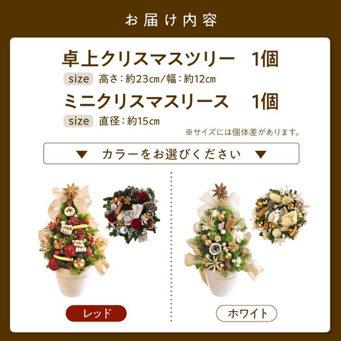クリスマスツリーとクリスマスリース セット クリスマスツリー クリスマスリース セット 選べる カラー レッド ホワイト 卓上クリスマスツリー ミニクリスマスリース プリザーブド  クリスマス インテリア クリスマス雑貨 ミニサイズ  プリザーブドフラワー 愛知県 小牧市 送料無料 ［133O19-SKU］ 