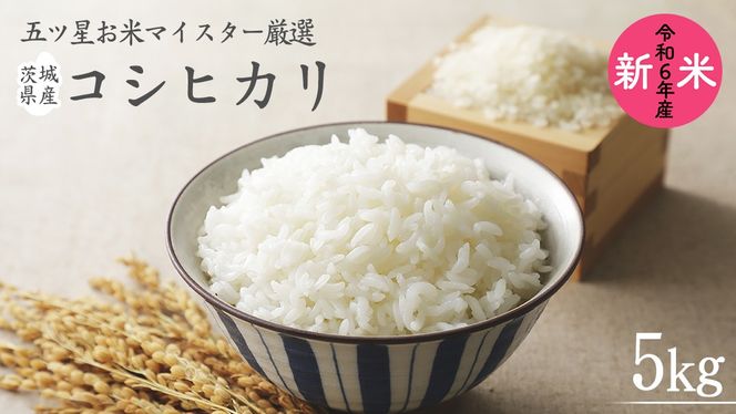 《 令和6年産 》 茨城県産 コシヒカリ 5kg ( 5kg × 1袋 )  期間限定 こしひかり 米 コメ こめ 五ツ星 高品質 白米 精米 時短 単一米 新米[AC039us]