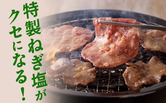099Z474 【定期便】牛タン薄切り厚切り交互便 全2回【牛タン 牛肉 焼肉用 薄切り 厚切り 焼肉 BBQ 訳あり サイズ不揃い 毎月配送コース】