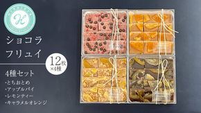 ショコラ フリュイ 4種セット（ とちおとめ 、 アップルパイ 、 レモンティー 、 キャラメル オレンジ ） チョコレート チョコ スイーツ デザート 高級 ギフト 贈り物 お礼 プレゼント 手土産 お菓子 [DJ61-NT]