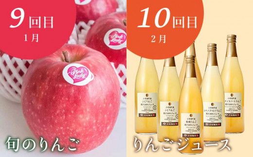 【10回定期便】小布施屋のフルーツ定期便　年10回コース ［小布施屋］ 定期便 頒布会 フルーツ 果物 信州 令和8年産 【2026年6月中旬～2027年2月発送】［E-9］