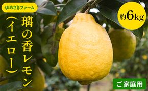 れもん 先行予約 璃の香 レモン イエロー ご家庭用 約6kg 檸檬 柑橘 国産  果汁 果物 フルーツ ゆめさきファーム 
