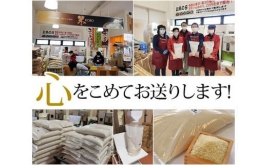 【1月発送】【定期便】令和7年産 新米 5kg 3ヶ月 京都丹波産 コシヒカリ 白米＜JA京都 たわわ朝霧＞ 3回定期便 5kg×3回 計15kg 毎月発送に合わせて精米