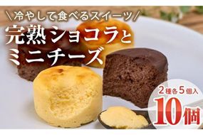 濃厚ショコラ・チーズケーキ (合計10個・2種×5個) チーズケーキ チーズ スイーツ 冷凍 お菓子 おやつ 焼き菓子 お取り寄せ 大分県 佐伯市【AJ75】【(有)ケーキ大使館クアンカ・ド－ネ】