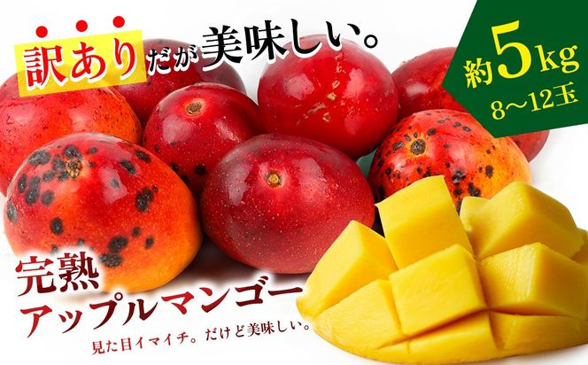 【2027年発送】生産者応援！！訳ありだが美味しい完熟アップルマンゴー約5kg 農園直送！