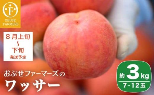 ワッサー 約3kg 7～12玉 ［おぶせファーマーズ］果物 フルーツ クール便 冷蔵便 長野県産 信州産 令和8年産【2026年8月上旬～下旬発送】
