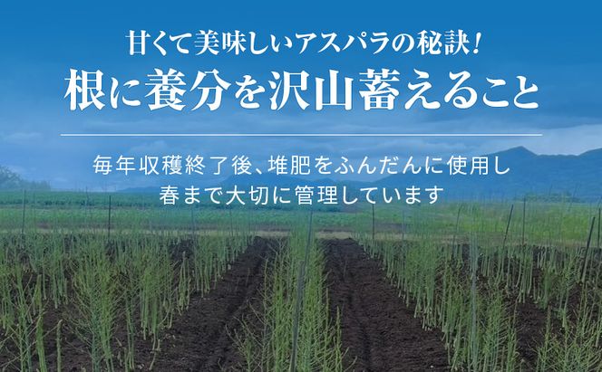 ［武田農園とれたて直送］2027年春～発送 グリーンアスパラ 2L 1kg やわらかくて抜群にあまい！北海道 富良野産 (アスパラガス アスパラ 野菜 新鮮 産地直送 先行予約 限定)