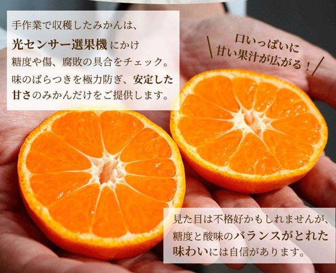 家庭用 完熟 有田みかん1kg+250g（傷み補償分）サイズ混合
