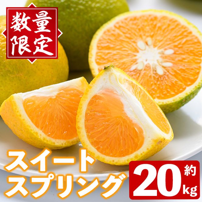 ＜先行予約受付中！2026年12月下旬以降順次発送予定＞秀品！スイートスプリング(約20kg) 国産 鹿児島県産 阿久根市産 柑橘類 みかん ミカン 果物 フルーツ デザート スイスプ 数量限定 期間限定 【有限会社まなべみかん園】akn034-16