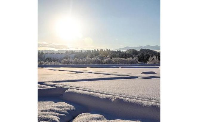 【令和7年産】定期便！魚沼産こだわり従来コシヒカリ【合計15kg】毎月5kg×3回 ブランド米 銘柄米 白米 精米 ご飯 おにぎり お弁当 