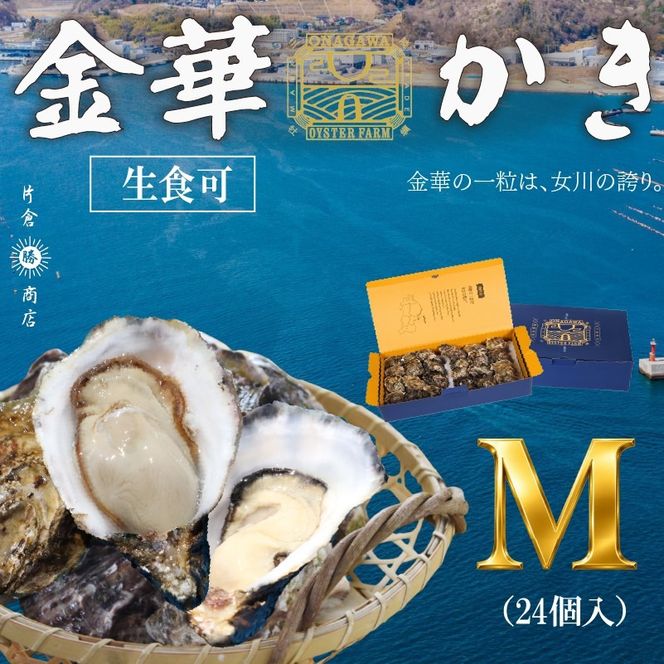金華かき 女川オイスターファーム レギュラーサイズ 生食可 