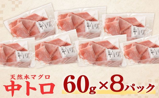 《 天然本まぐろ 》 中トロ 切落し 【ちょこっとパック】480g（60g×8パック）天然まぐろ 本マグロ まぐろ 鮪 マグロ お手軽 食べきりサイズ 切り落とし お刺身 魚介類 海鮮 小分け 魚 魚貝 高知 簡単 簡単調理 惣菜 冷凍 室戸 mgr tk186