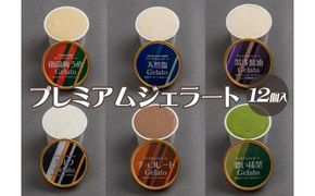 プレミアムジェラート 詰め合わせセット（6種類×2個） アイスクリームセット 100mlカップ ゆあさジェラートラボラトリー【kztb701】
