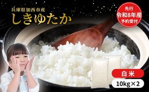 【令和8年産 先行受付】しきゆたか 白米 20kg (10kg×2)