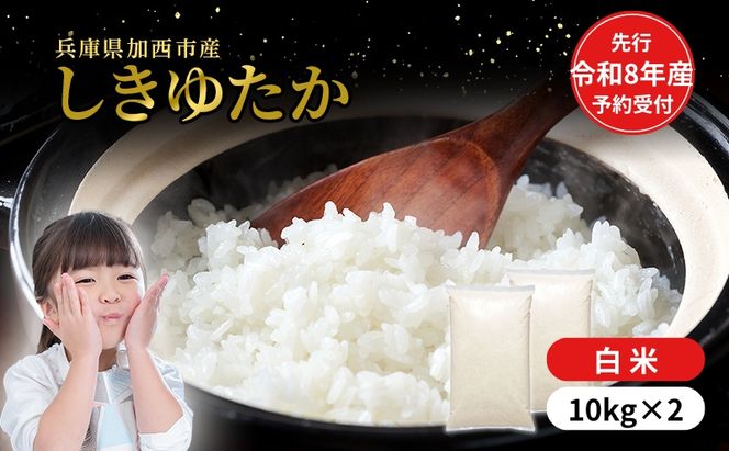 【令和8年産 先行受付】しきゆたか 白米 20kg (10kg×2)