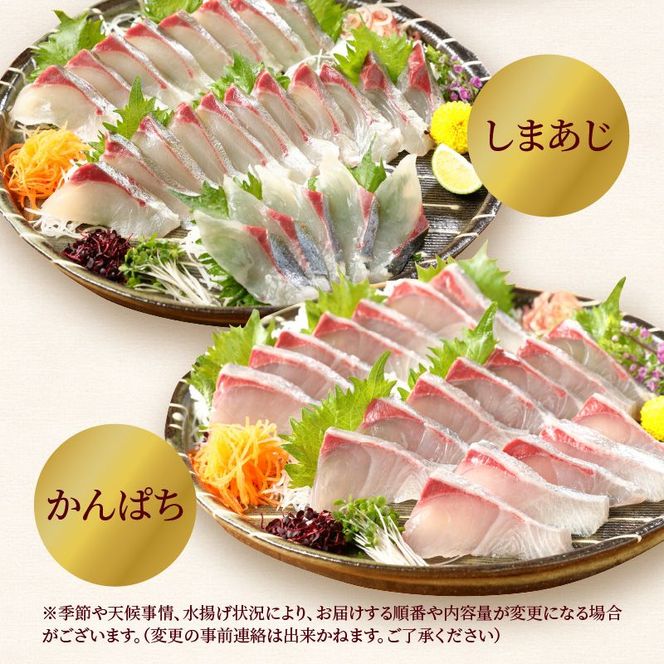 定期便 定番シリーズ 活〆鮮魚のお刺身 (3ヶ月お届け) 　N019-YD0198　請関水産