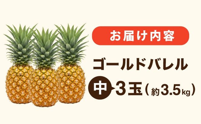 ≪5月上旬順次発送≫ゴールドバレル 中 3玉（約3.5kg） TP-16