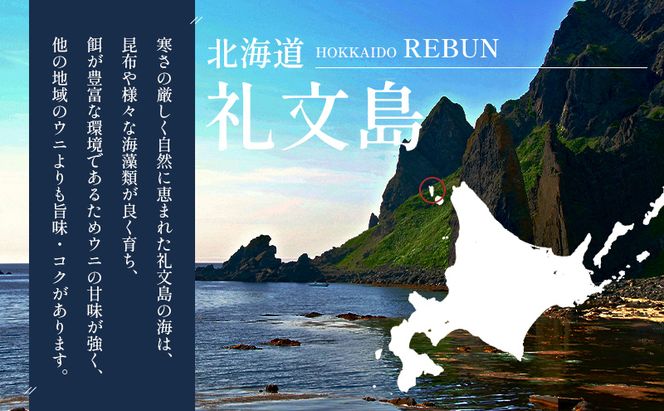 【礼文島リボンプロジェクト】北海道 礼文島産 ミョウバン不使用 塩水ウニ エゾバフンウニ 100g×2パック(ピンバッジ付)［野崎水産］【 うに ウニ 雲丹 生うに 塩水うに バフンウニ 自然保護 寄付 海鮮 】
