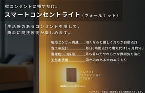 099H3461 インテリアに調和するコンセントライト（ウォールナット）