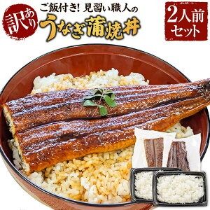 【ふるさと納税】【訳あり】地元産の美味しいお米で炊いたご飯付、見習い職人のうなぎ蒲焼丼 2人前セット レンチン 数量限定 うなぎ ウナギ 鰻 蒲焼き 蒲焼 うな丼 鰻丼 丼ぶり 丼 丼もの ご飯 ごはん 惣菜 冷凍 兵庫県 新温泉町 送料無料