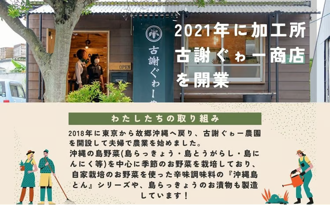 沖縄島とんコーレーグースセット【古謝ぐゎー商店】