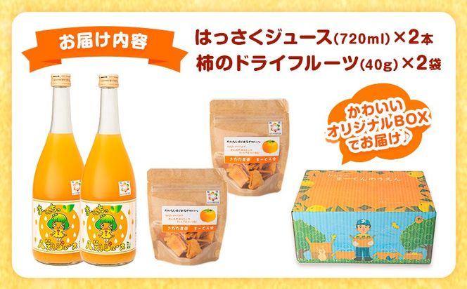 まーくん家のはっさくジュース（720ml×2本）と柿のドライフルーツ2袋 《90日以内に出荷予定(土日祝除く)》 和歌山県 紀の川市 柑橘 はっさく柿 たねなし柿 きただ農園まーくん家 化学肥料・除草剤不使用 八朔 カキ---wsk_ktdhsjkdf_90d_22_14000_720ml---
