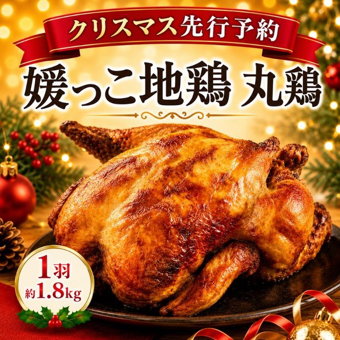 【 2026年 クリスマス 先行予約 】 媛っこ地鶏 丸鶏 約 1.8kg まるごと 地鶏 ブランド地鶏 鶏肉 鳥肉 肉 チキン むね肉 もも肉 クリスマス ローストチキン ごちそう スープ 出汁 焼肉 焼き鳥 BBQ パーティー ディナー メイン タンパク質 低脂肪 糖質 愛媛県 愛南町 ローカルスタンダード