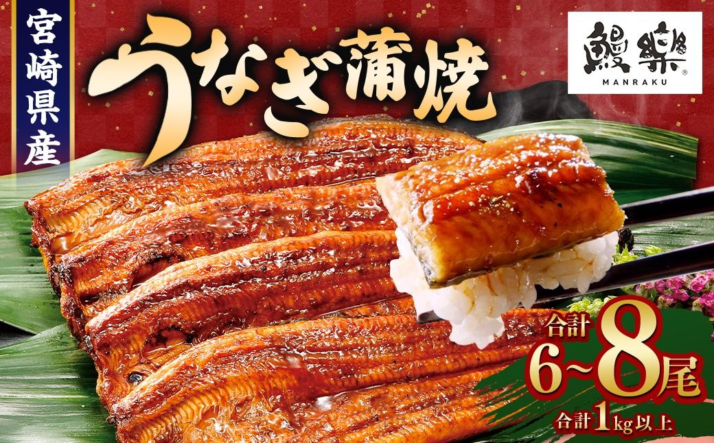 お中元ギフトに最適![今なら丑の日までにお届け!][うなぎ 国産 うなぎ蒲焼 6〜8尾 計1kg以上][c1450_mn]