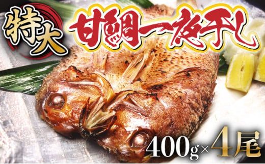 合計1.6kg!! 甘鯛 一夜干し 4尾 (1尾×4パック)  E-246