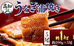 うなぎ 高知県産蒲焼きうなぎ ２００ｇ ５尾 計１kg fb-0162