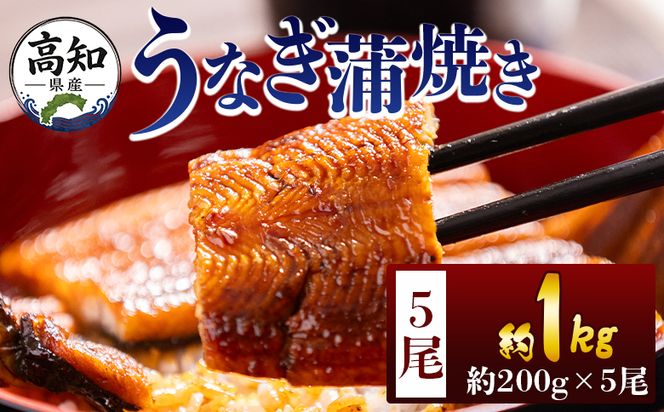 うなぎ 高知県産蒲焼きうなぎ ２００ｇ ５尾 計１kg fb-0162